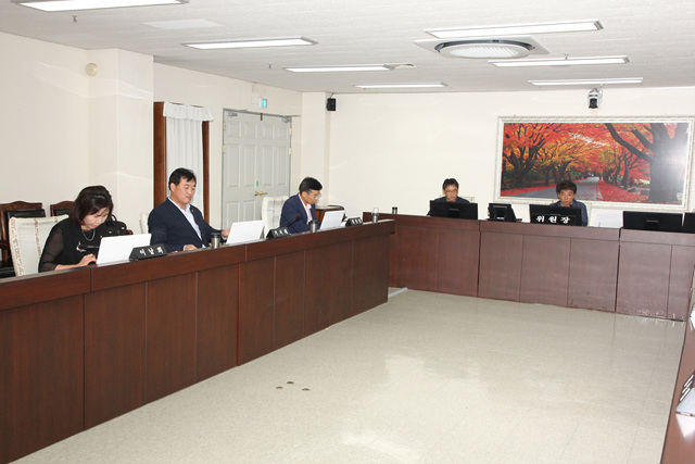 제246회 임시회 제1차 자치행정위원회 안건심사